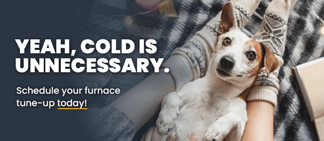 Stay Cozy! Schedule your Furnace tune-up today